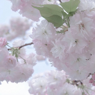 Furry插画氛围提升兽圈社群